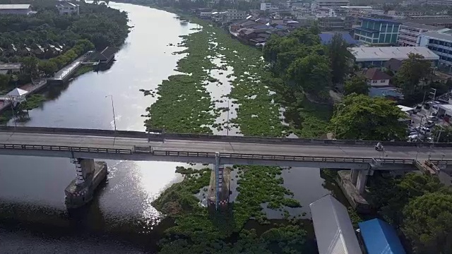 在泰国，水葫芦覆盖了一条河视频素材