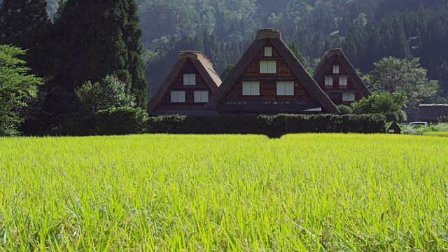 Shirakawa-go村视频素材