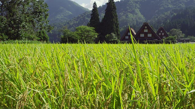 Shirakawa-go村视频素材