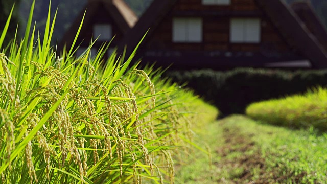 Shirakawa-go村视频素材