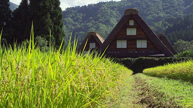 Shirakawa-go村视频素材