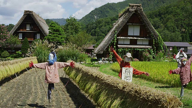 Shirakawa-go村视频素材