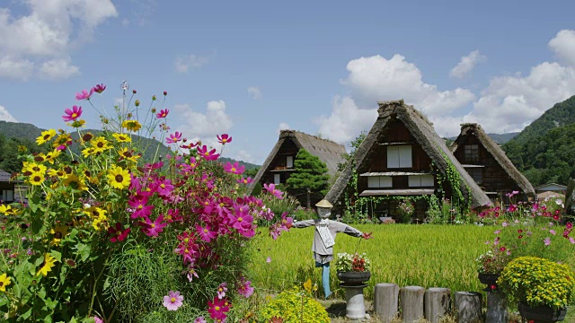 Shirakawa-go村视频素材