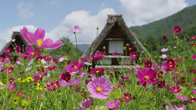 Shirakawa-go村视频素材