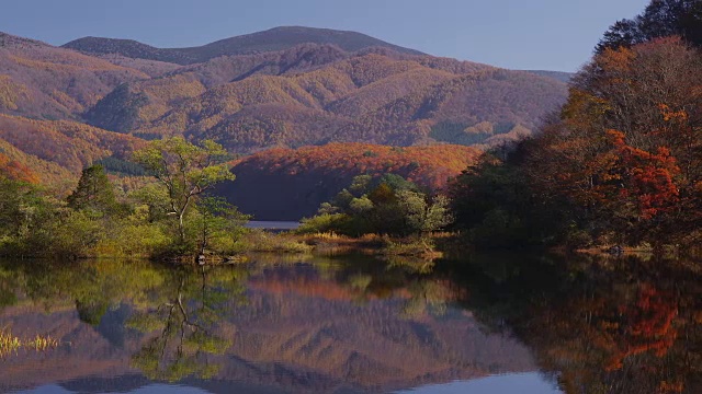 Bishamon-Numa池塘在秋天视频素材