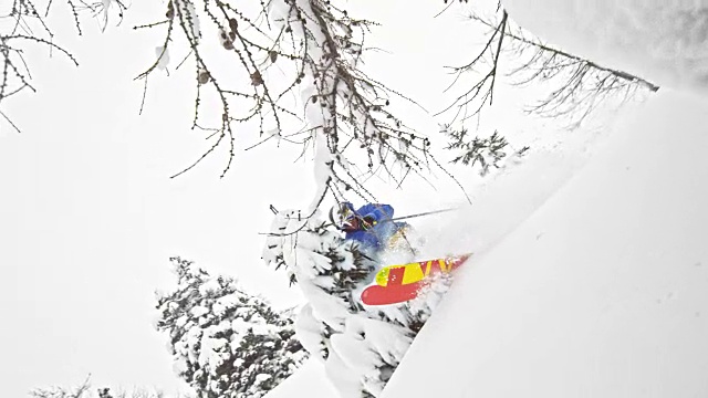 SLO MO野外滑雪者在粉末雪中跳跃视频素材