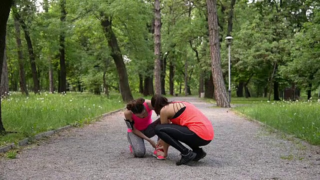 秋天视频下载