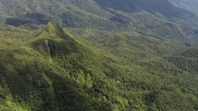 在云雾和森林覆盖的山峰上，马达加斯加视频素材