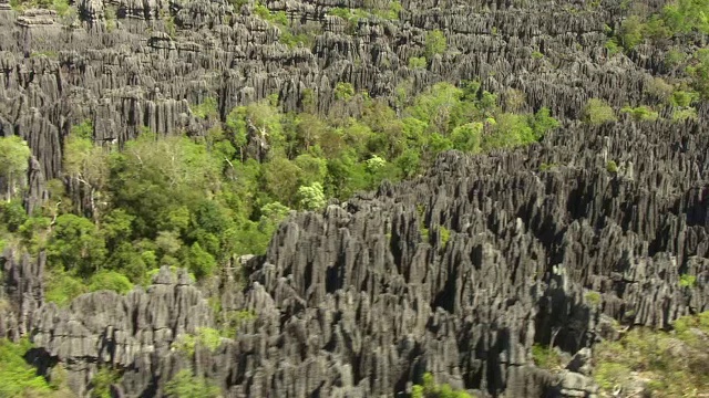 在受侵蚀的石灰岩喀斯特景观上空，安卡拉那，马达加斯加视频素材