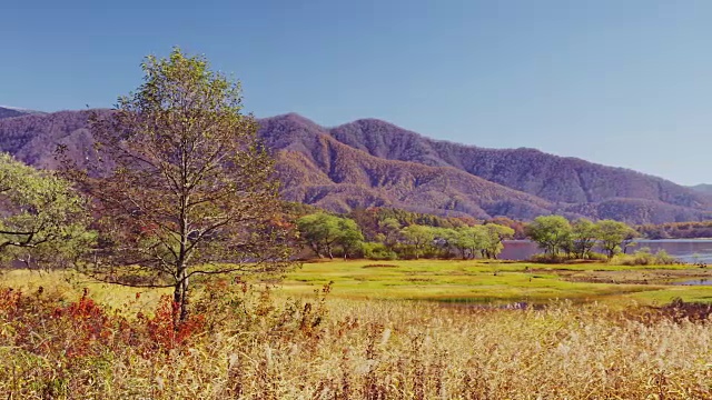 秋天的日原湖视频素材