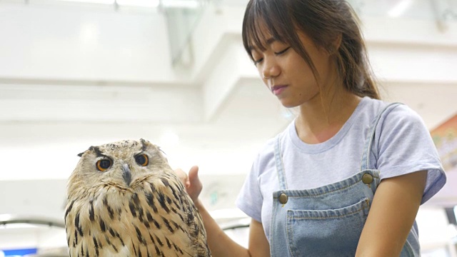 亚洲女孩玩大猫头鹰视频素材