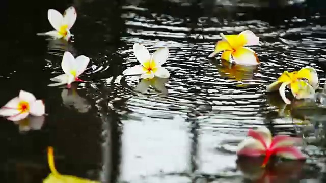 在泰国的雨季，雨点落在地板上，上面有五颜六色的花朵视频素材