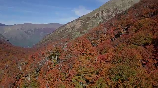 冷冰冰的山毛榉山，秋天的阿根廷视频下载