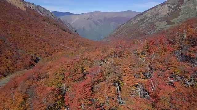 冷冰冰的山毛榉在秋天-塞罗大教堂，巴利洛什，阿根廷视频下载