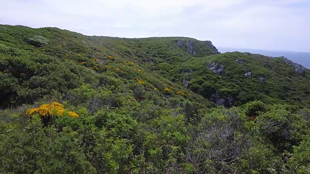 葡萄牙海岸视频素材