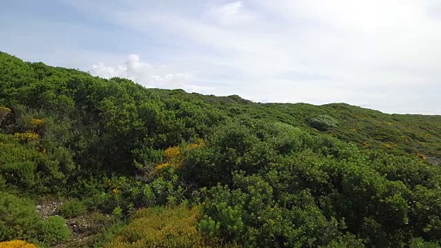 葡萄牙的海岸线视频素材