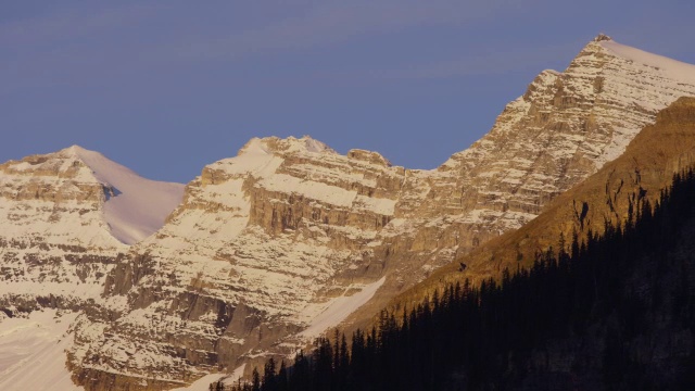 宽摇摄在山/露易丝湖的树木剪影，阿尔伯塔，加拿大视频素材