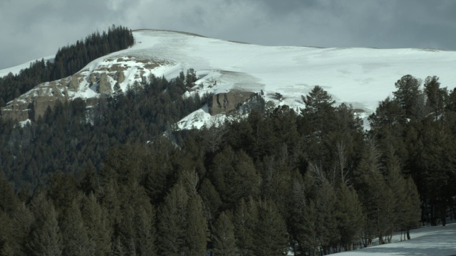 雪山绿树视频素材