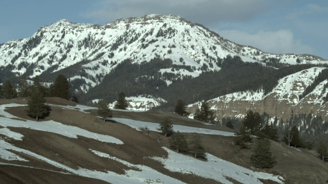 雪山绿树视频素材