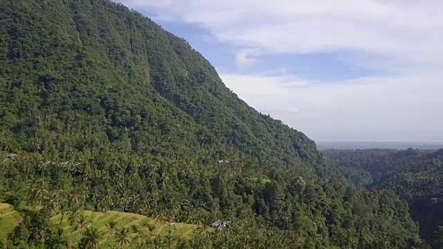 山米梯田北巴厘岛无人机视图视频素材