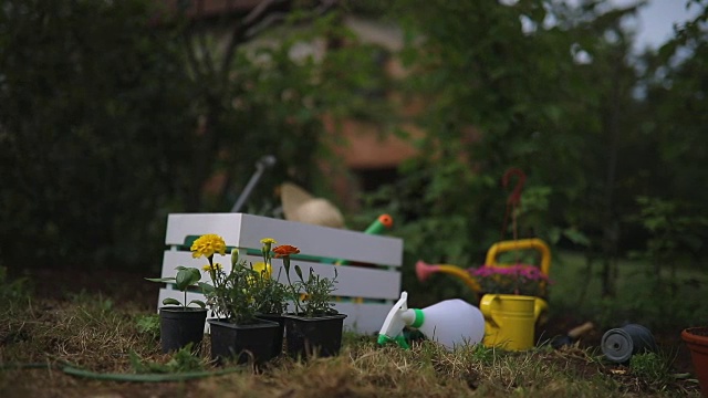 园艺工具和花园里的花视频素材