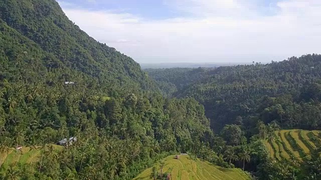 山米梯田北巴厘岛无人机视图视频素材