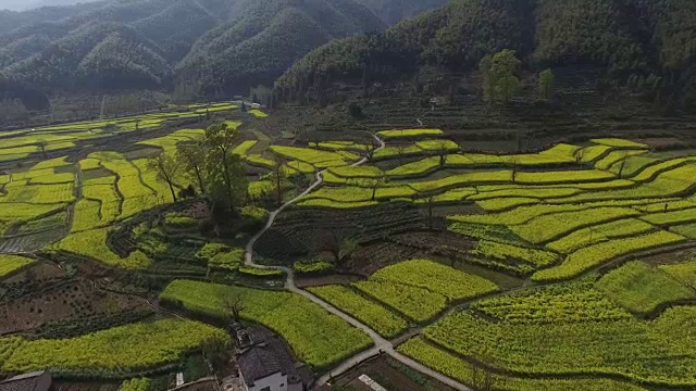 鸟瞰中国传统村落视频素材