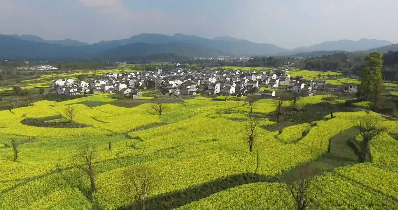 鸟瞰中国传统村落视频素材