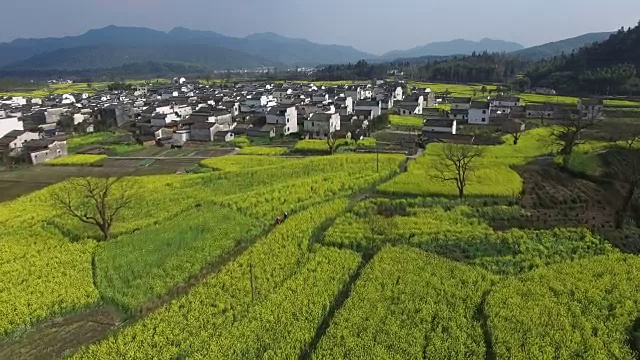 鸟瞰中国传统村落视频素材