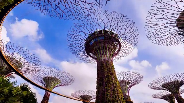 湾旁的TL ZO花园，有超级树林和空中步道视频素材