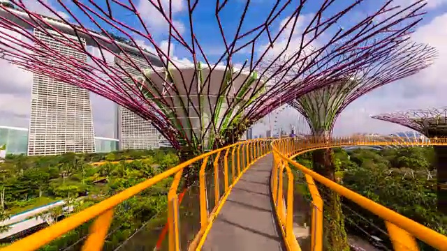 沿着空中步道，海湾花园，超级树林视频素材