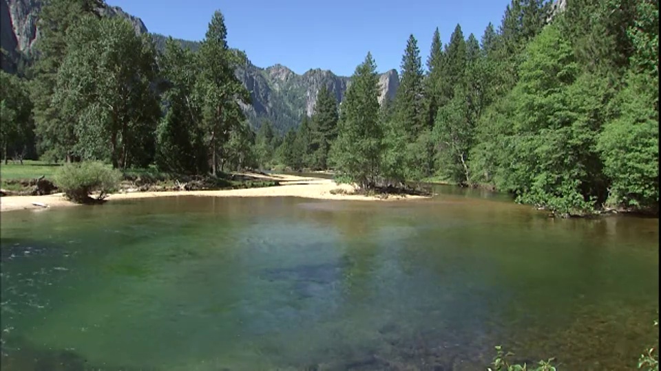 一条波光粼粼的河流流过一丛丛常青树。视频素材