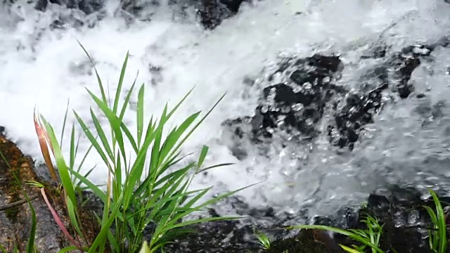 特写流视频素材