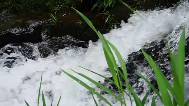 小溪流水视频素材