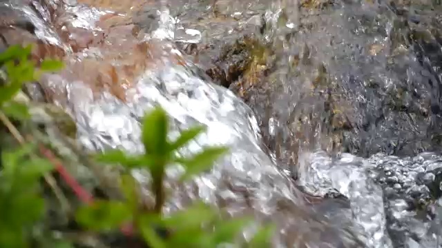 小溪流水视频素材