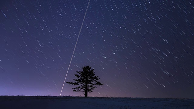 冬天在大壁岭的星空中看到孤独的树和银河视频素材