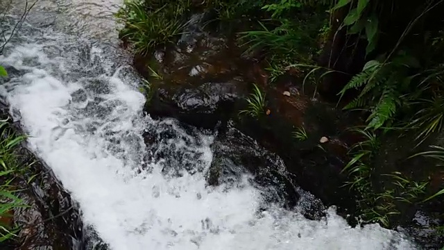 小溪流水视频素材