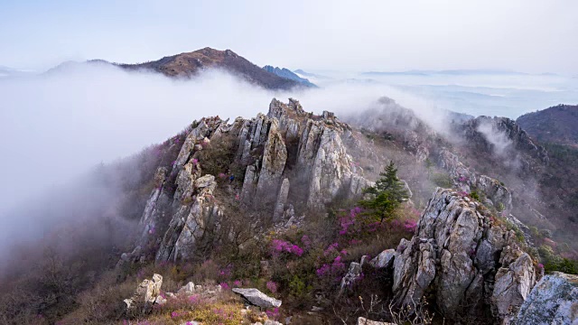 Jujaksan山的云海和杜鹃花(热门旅游景点)视频素材