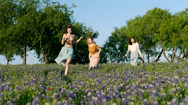 在美丽的阳光明媚的日子里，三个女孩跑过鲜花田。视频素材