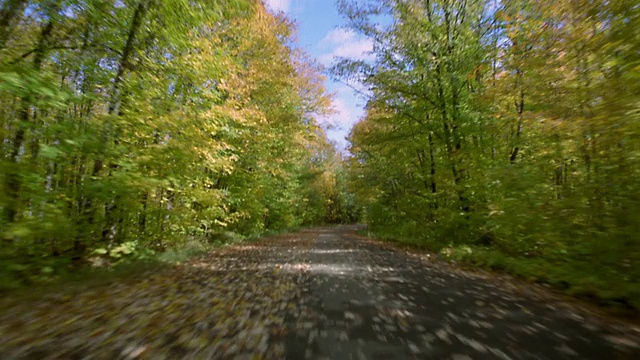 汽车点的乡村道路与松树在秋天视频素材