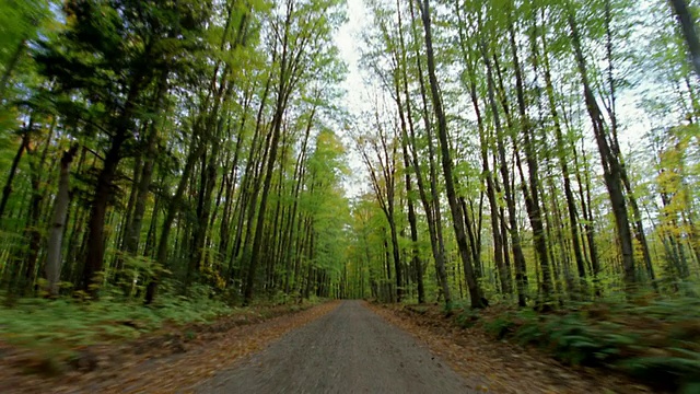 后面的车的观点，绿树成荫的乡村道路在秋天视频素材