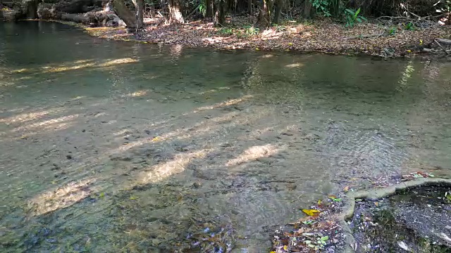 在清澈的水面上舞动的池塘从瀑布在美丽的绿色自然视频素材