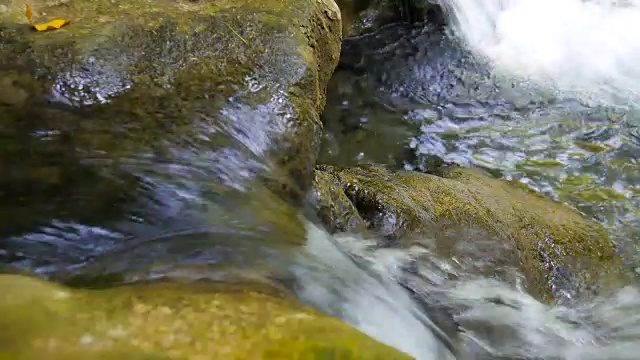 热带雨林中宁静的流水和瀑布视频素材