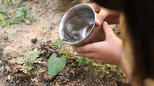 女孩浇灌植物视频素材