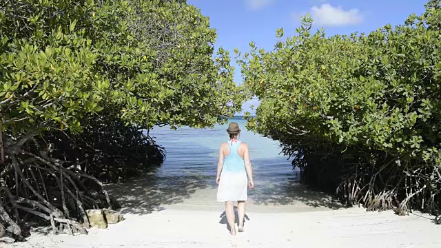 女人走到僻静的海滩视频素材