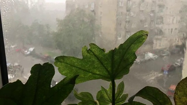 波兰城市的暴雨伴随着突然的暴风雨视频素材