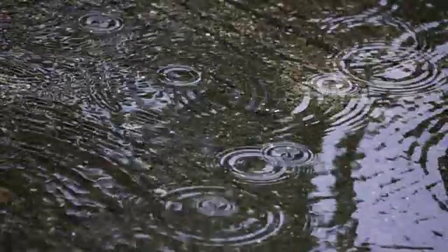 泰国雨季雨滴的慢动作视频素材