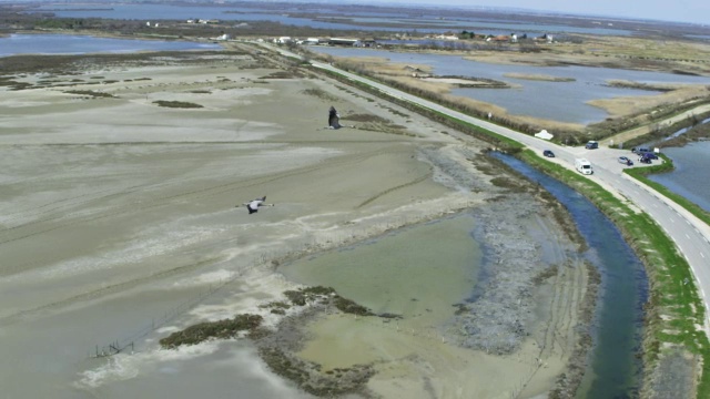 SLOMO用2架普通起重机在卡马格的公路和海滩上空进行WS对MS的空对空飞行视频素材