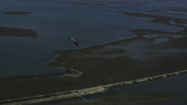 SLOMO空对空WS进入MS普通起重机，飞越海面，然后海岸线视频素材