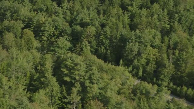 汽车在路上行驶的空中跟踪镜头。指森林中的湖泊和树木。农村地区。视频素材